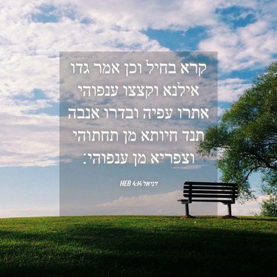 Picture 04 - דניאל 4:14 HEB - קרא בחיל וכן אמר גדו אילנא - Bible Verse Picture