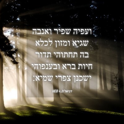 Picture 04 - דניאל 4:21 HEB - ועפיה שפיר ואנבה שגיא - Bible Verse Picture