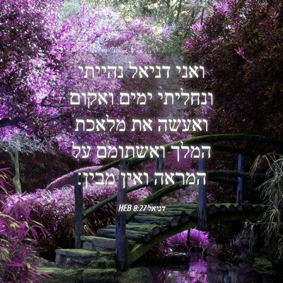 Picture 04 - דניאל 8:27 HEB - ואני דניאל נהייתי ונחליתי - Bible Verse Picture
