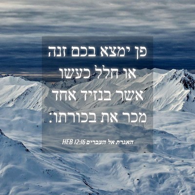 Picture 04 - האגרת אל העברים 12:16 HEB - פן ימצא בכם זנה או חלל כעשו - Bible Verse Picture