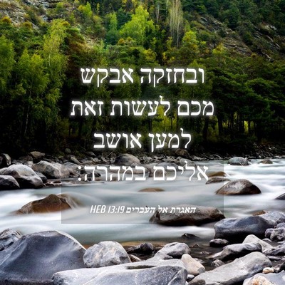Picture 04 - האגרת אל העברים 13:19 HEB - ובחזקה אבקש מכם לעשות זאת - Bible Verse Picture