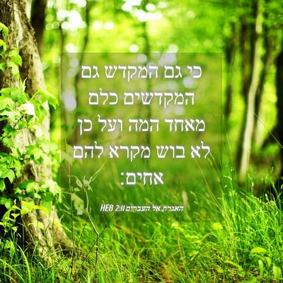 Picture 04 - האגרת אל העברים 2:11 HEB - כי גם המקדש גם המקדשים כלם - Bible Verse Picture