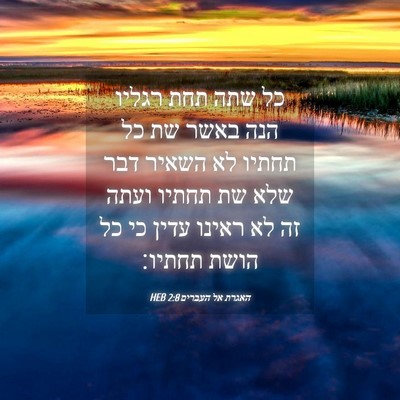 Picture 04 - האגרת אל העברים 2:8 HEB - כל שתה תחת רגליו הנה באשר - Bible Verse Picture