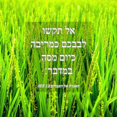 Picture 04 - האגרת אל העברים 3:8 HEB - אל תקשו לבבכם כמריבה כיום - Bible Verse Picture