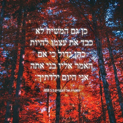 Picture 04 - האגרת אל העברים 5:5 HEB - כן גם המשיח לא כבד את עצמו - Bible Verse Picture