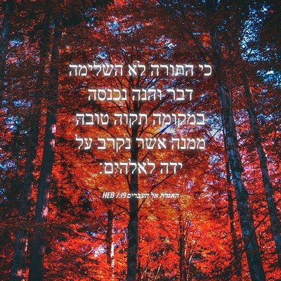 Picture 04 - האגרת אל העברים 7:19 HEB - כי התורה לא השלימה דבר והנה - Bible Verse Picture