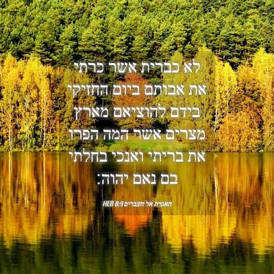 Picture 04 - האגרת אל העברים 8:9 HEB - לא כברית אשר כרתי את אבותם - Bible Verse Picture