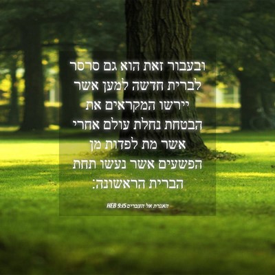 Picture 04 - האגרת אל העברים 9:15 HEB - ובעבור זאת הוא גם סרסר - Bible Verse Picture
