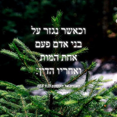 Picture 04 - האגרת אל העברים 9:27 HEB - וכאשר נגזר על בני אדם פעם - Bible Verse Picture