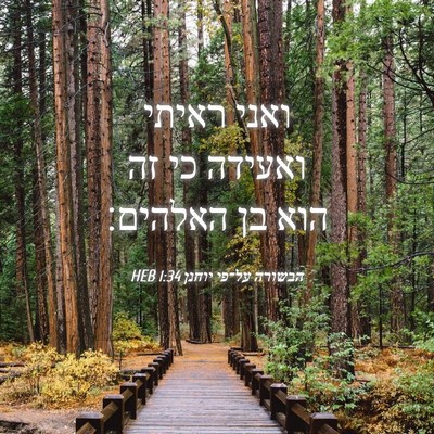Picture 04 - הבשורה על־פי יוחנן 1:34 HEB - ואני ראיתי ואעידה כי זה הוא - Bible Verse Picture