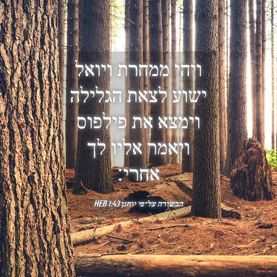 Picture 04 - הבשורה על־פי יוחנן 1:43 HEB - ויהי ממחרת ויואל ישוע לצאת - Bible Verse Picture