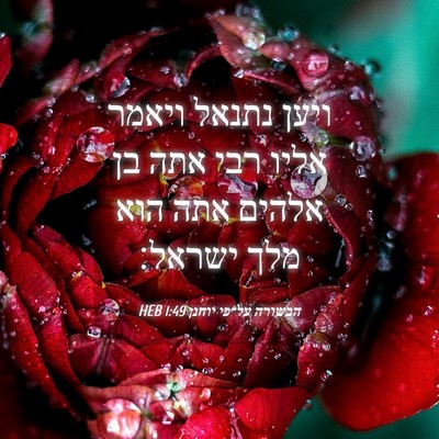 Picture 04 - הבשורה על־פי יוחנן 1:49 HEB - ויען נתנאל ויאמר אליו רבי - Bible Verse Picture