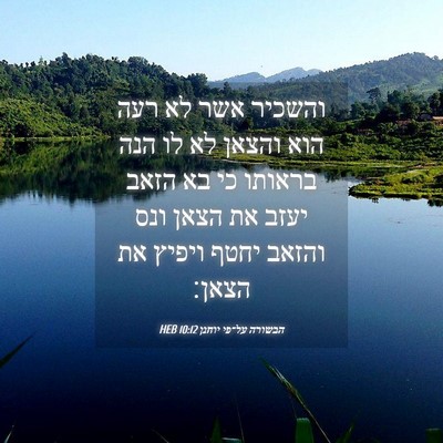 Picture 04 - הבשורה על־פי יוחנן 10:12 HEB - והשכיר אשר לא רעה הוא והצאן - Bible Verse Picture