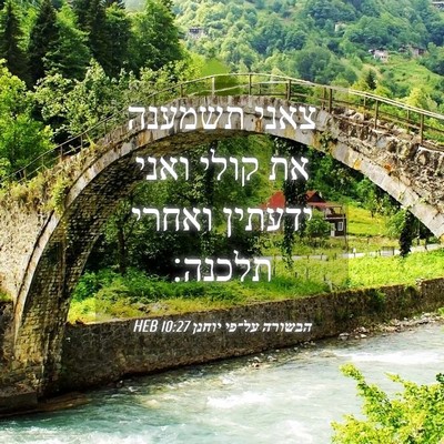 Picture 04 - הבשורה על־פי יוחנן 10:27 HEB - צאני תשמענה את קולי ואני - Bible Verse Picture