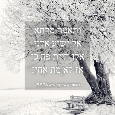 Picture 04 - הבשורה על־פי יוחנן 11:21 HEB - ותאמר מרתא אל ישוע אדני אלו - Bible Verse Picture