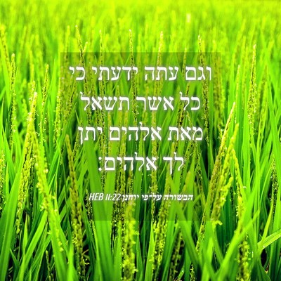 Picture 04 - הבשורה על־פי יוחנן 11:22 HEB - וגם עתה ידעתי כי כל אשר - Bible Verse Picture