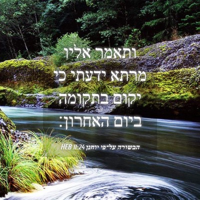 Picture 04 - הבשורה על־פי יוחנן 11:24 HEB - ותאמר אליו מרתא ידעתי כי - Bible Verse Picture