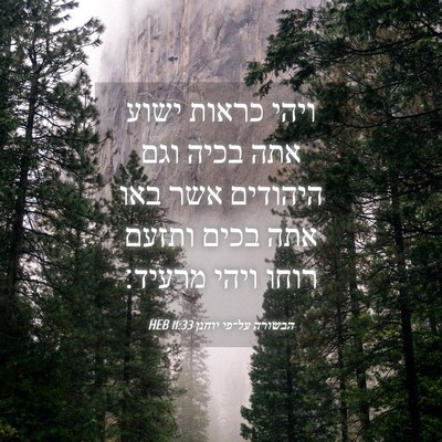 Picture 04 - הבשורה על־פי יוחנן 11:33 HEB - ויהי כראות ישוע אתה בכיה - Bible Verse Picture