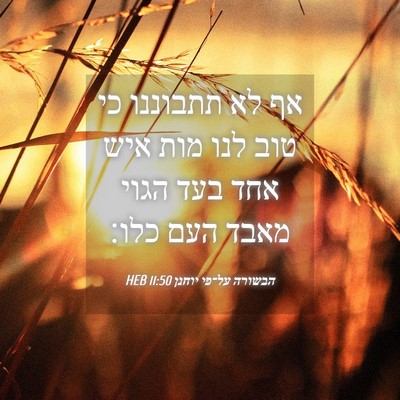 Picture 04 - הבשורה על־פי יוחנן 11:50 HEB - אף לא תתבוננו כי טוב לנו - Bible Verse Picture