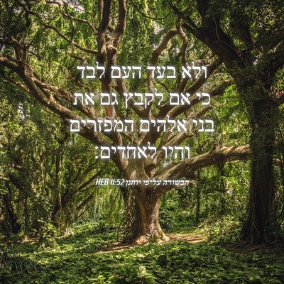 Picture 04 - הבשורה על־פי יוחנן 11:52 HEB - ולא בעד העם לבד כי אם לקבץ - Bible Verse Picture