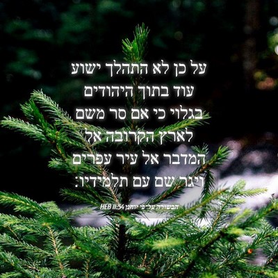 Picture 04 - הבשורה על־פי יוחנן 11:54 HEB - על כן לא התהלך ישוע עוד - Bible Verse Picture