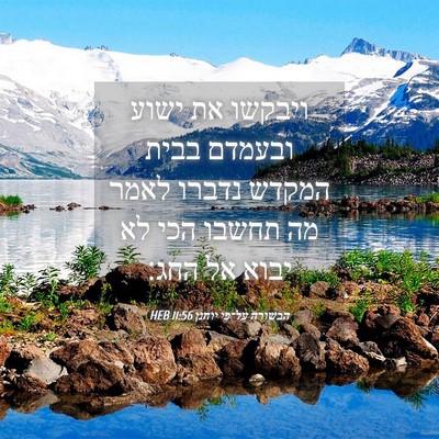 Picture 04 - הבשורה על־פי יוחנן 11:56 HEB - ויבקשו את ישוע ובעמדם בבית - Bible Verse Picture
