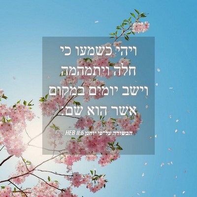 Picture 04 - הבשורה על־פי יוחנן 11:6 HEB - ויהי כשמעו כי חלה ויתמהמה - Bible Verse Picture