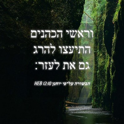 Picture 04 - הבשורה על־פי יוחנן 12:10 HEB - וראשי הכהנים התיעצו להרג - Bible Verse Picture
