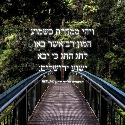 Picture 04 - הבשורה על־פי יוחנן 12:12 HEB - ויהי ממחרת כשמוע המון רב - Bible Verse Picture