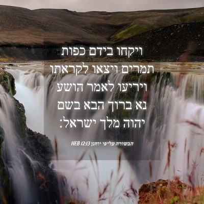 Picture 04 - הבשורה על־פי יוחנן 12:13 HEB - ויקחו בידם כפות תמרים - Bible Verse Picture