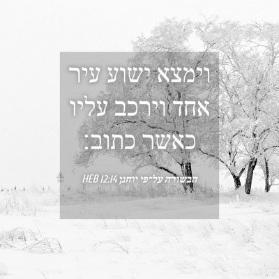 Picture 04 - הבשורה על־פי יוחנן 12:14 HEB - וימצא ישוע עיר אחד וירכב - Bible Verse Picture