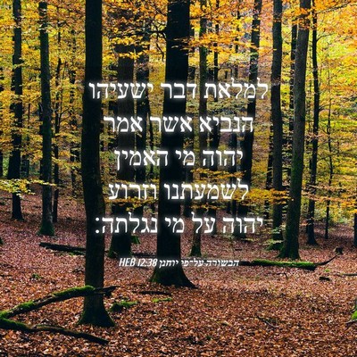 Picture 04 - הבשורה על־פי יוחנן 12:38 HEB - למלאת דבר ישעיהו הנביא אשר - Bible Verse Picture