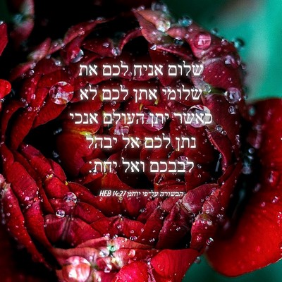 Picture 04 - הבשורה על־פי יוחנן 14:27 HEB - שלום אניח לכם את שלומי אתן - Bible Verse Picture