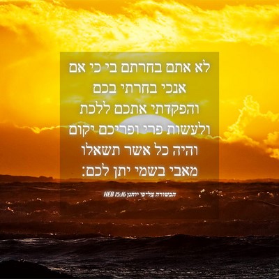 Picture 04 - הבשורה על־פי יוחנן 15:16 HEB - לא אתם בחרתם בי כי אם אנכי - Bible Verse Picture