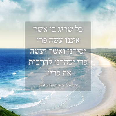 Picture 04 - הבשורה על־פי יוחנן 15:2 HEB - כל שריג בי אשר איננו עשה - Bible Verse Picture
