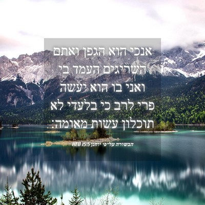 Picture 04 - הבשורה על־פי יוחנן 15:5 HEB - אנכי הוא הגפן ואתם השריגים - Bible Verse Picture