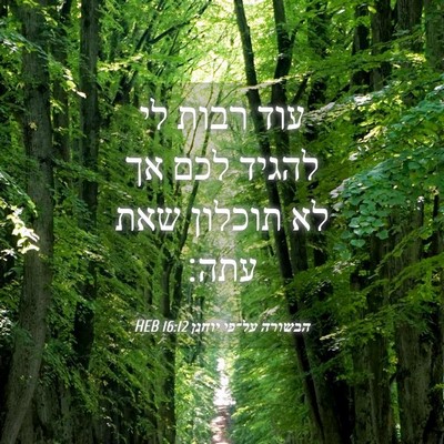 Picture 04 - הבשורה על־פי יוחנן 16:12 HEB - עוד רבות לי להגיד לכם אך לא - Bible Verse Picture