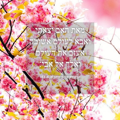 Picture 04 - הבשורה על־פי יוחנן 16:28 HEB - מאת האב יצאתי ואבא לעולם - Bible Verse Picture