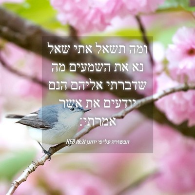 Picture 04 - הבשורה על־פי יוחנן 18:21 HEB - ומה תשאל אתי שאל נא את - Bible Verse Picture