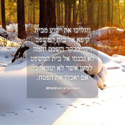Picture 04 - הבשורה על־פי יוחנן 18:28 HEB - ויוליכו את ישוע מבית קיפא - Bible Verse Picture