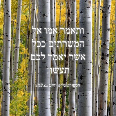 Picture 04 - הבשורה על־פי יוחנן 2:5 HEB - ותאמר אמו אל המשרתים ככל - Bible Verse Picture