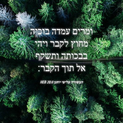 Picture 04 - הבשורה על־פי יוחנן 20:11 HEB - ומרים עמדה בוכיה מחוץ לקבר - Bible Verse Picture