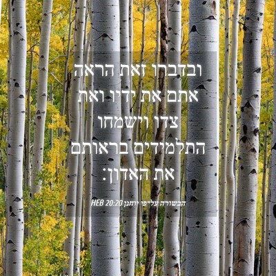 Picture 04 - הבשורה על־פי יוחנן 20:20 HEB - ובדברו זאת הראה אתם את ידיו - Bible Verse Picture