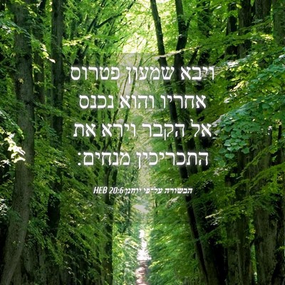 Picture 04 - הבשורה על־פי יוחנן 20:6 HEB - ויבא שמעון פטרוס אחריו - Bible Verse Picture