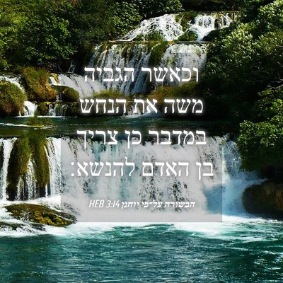 Picture 04 - הבשורה על־פי יוחנן 3:14 HEB - וכאשר הגביה משה את הנחש - Bible Verse Picture