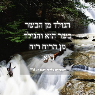 Picture 04 - הבשורה על־פי יוחנן 3:6 HEB - הנולד מן הבשר בשר הוא - Bible Verse Picture