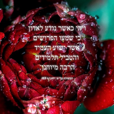 Picture 04 - הבשורה על־פי יוחנן 4:1 HEB - ויהי כאשר נודע לאדון כי - Bible Verse Picture