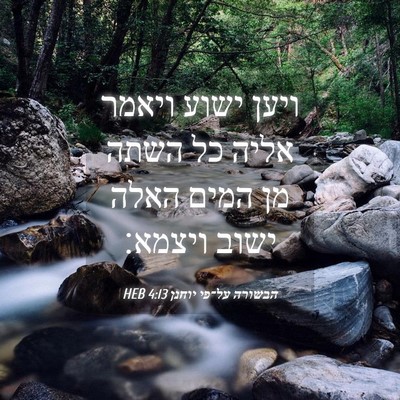 Picture 04 - הבשורה על־פי יוחנן 4:13 HEB - ויען ישוע ויאמר אליה כל - Bible Verse Picture