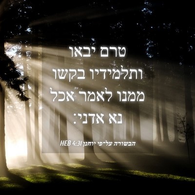 Picture 04 - הבשורה על־פי יוחנן 4:31 HEB - טרם יבאו ותלמידיו בקשו - Bible Verse Picture