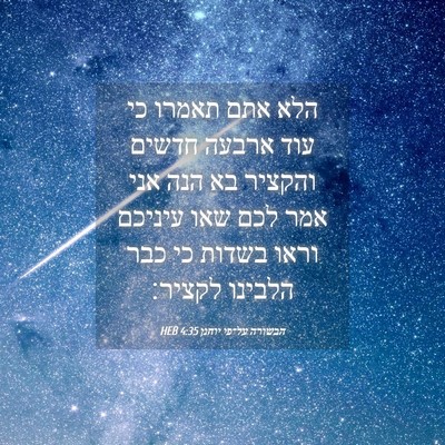 Picture 04 - הבשורה על־פי יוחנן 4:35 HEB - הלא אתם תאמרו כי עוד ארבעה - Bible Verse Picture